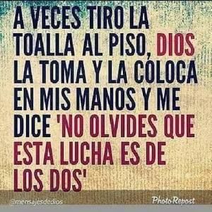 Meet your Posher, Gilberto